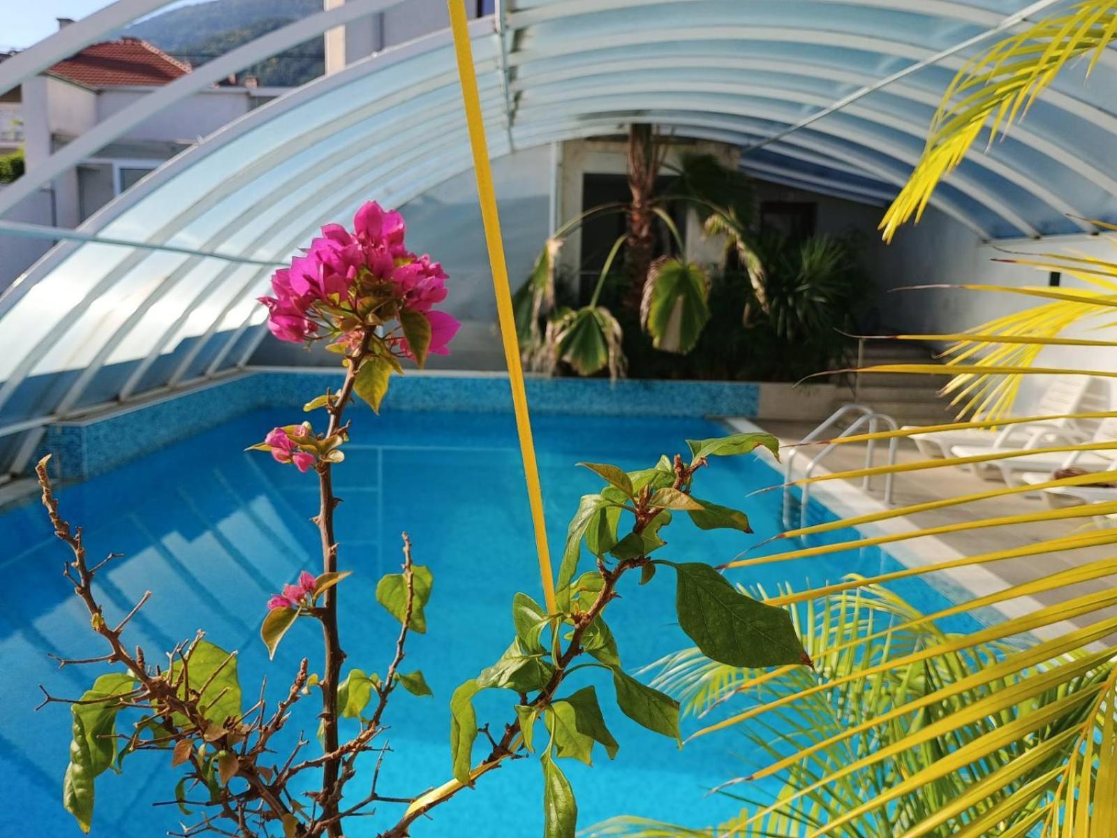Enis Hotel С Минерален Басейн Sapareva Banya Luaran gambar