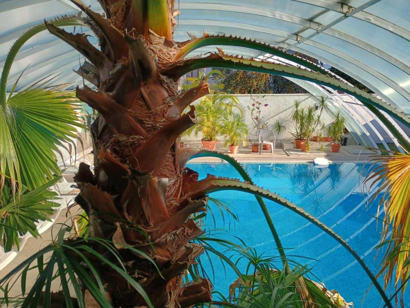 Enis Hotel С Минерален Басейн Sapareva Banya Luaran gambar
